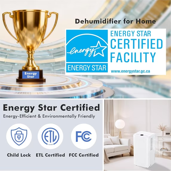 Roomisland 30 Pint Dehumidifier for Basement, 38dB Quiet, Precise Humidity Control, Drain Hose & 2L Water Tank, Small 2000 Sq.ft Dehumidifiers, Smart Humidity Ring, Ideal for Home, Bedroom