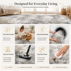 Roomisland Modern Abstract Area Rug 2x3, Machine Washable Small Kitchen Mat with Rubber Backing, Low Profile Floor Carpet for Bathroom Door, Modern Abstract Neutral Design