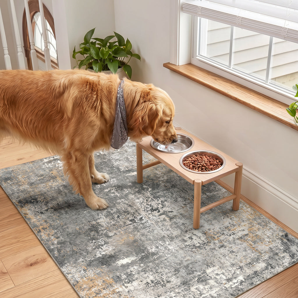 Roomisland Modern Abstract Area Rug 2x3, Machine Washable Small Kitchen Mat with Rubber Backing, Low Profile Floor Carpet for Bathroom Door, Modern Abstract Neutral Design